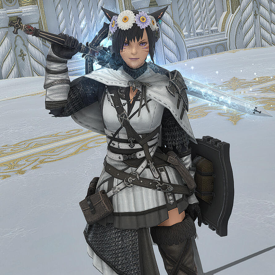 Paladin (PLD)
